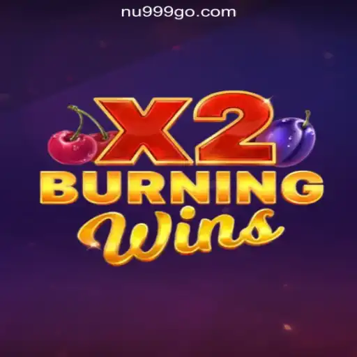 Exploring the Thrills of BurningWinsX2: A Top Choice in Online Casinos