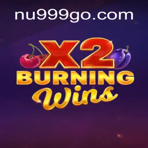 Exploring the Thrills of BurningWinsX2: A Top Choice in Online Casinos